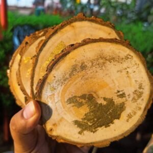 Golden Earth Reverie Coasters